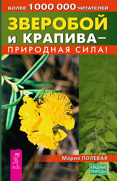 Зверобой и крапива — природная сила!